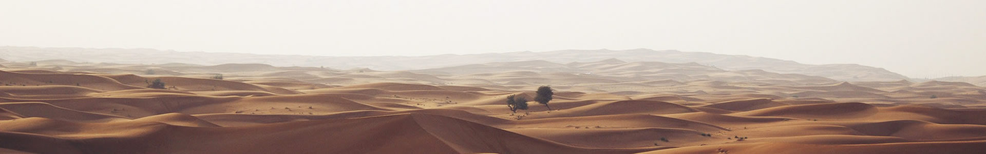 λеƼ޹˾